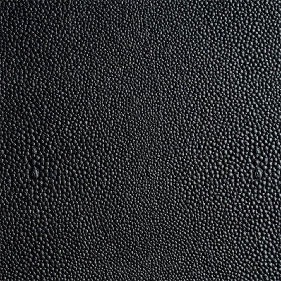 Shagreen Black