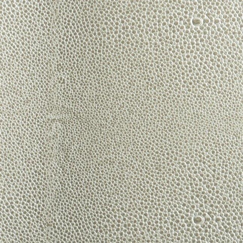 Shagreen Gray Stone